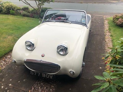 1960 Austin Healey Frogeye Sprite