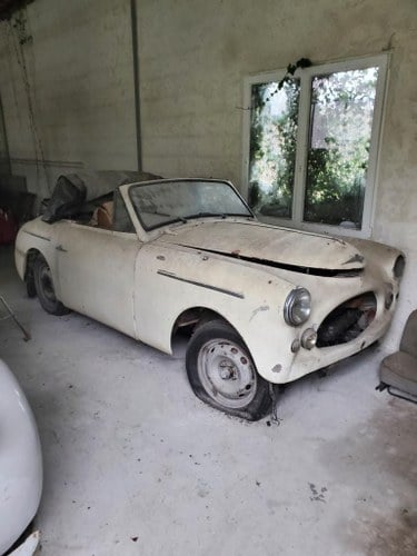 1951 Austin A40 Sport Kaufen Bei