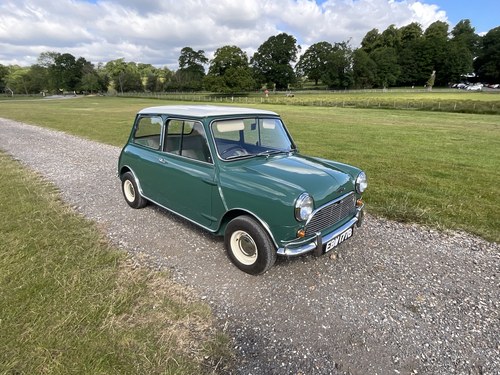 1964 Mini Cooper MK1 998 CC MATCHING NUMBERS RESTORED A vendre