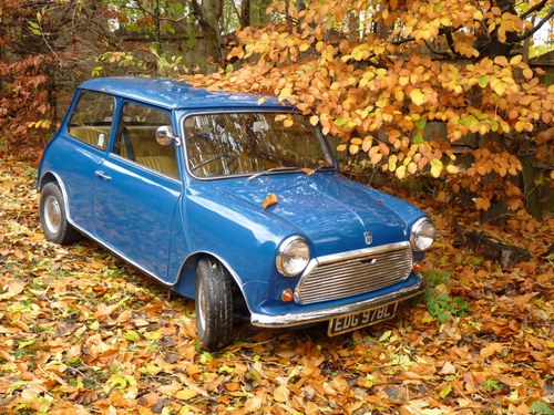 1972 Austin Mini 1000