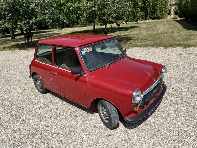 1981 Austin Mini - 1 1981 Austin Mini - 1