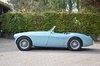 1956 Austin Healey 100 BN2 with Le Mans upgrades In vendita