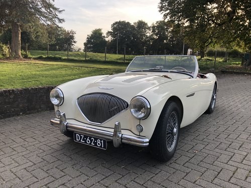 1956 Healey 100 BN2 For Sale