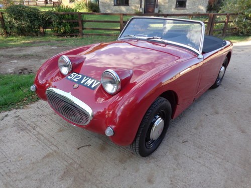 1959 A FULLY RESTORED FROGEYE SPRITE WITH SENSIBLE UPGRADES! For Sale