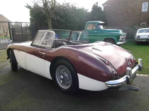 Austin-Healey-3000-1961-2-Plus 2, LHD, Last owner 35 years SOLD
