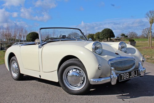 1961 Austin Healey Frogeyed Sprite For Sale