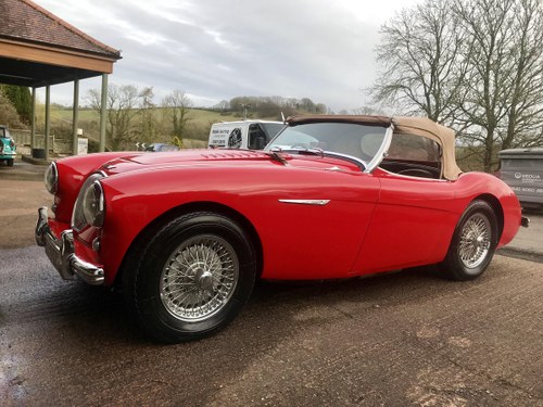 1955 100/4 Austin Healey (Ad with Video of car ! ) RHD  SOLD