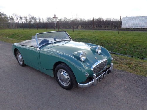 1959 Austin Healey Frogeye Sprite MkI For Sale by Auction