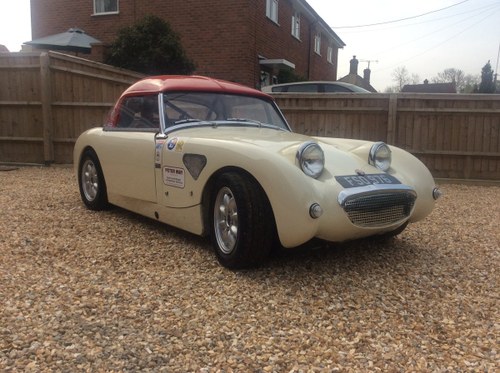 1960 Austin Healey Sprite competition/ road legal Frogeye  For Sale