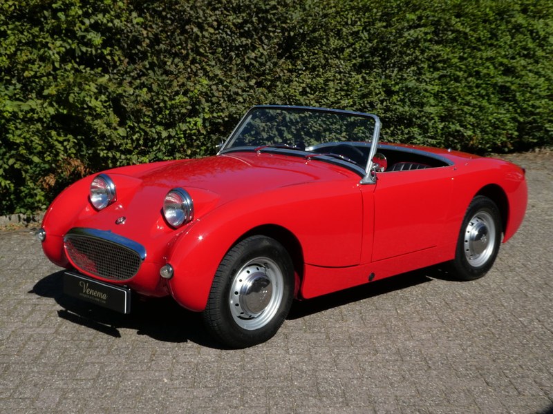 Austin Healey Frog Eye Restored