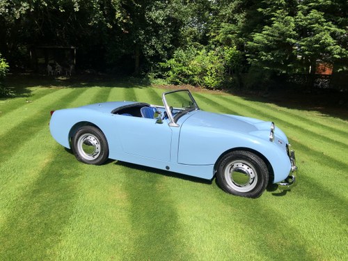 1959 Austin Healey Frogeye Former Concours Winning For Sale