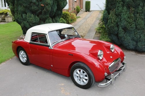 1959 BEAUTIFUL AUSTIN HEALEY SPRITE MK1 FROGEYE,Previous concours For Sale