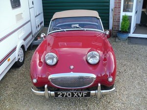 1959 frogeye sprite For Sale