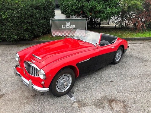 1957 Austin Healey - 100/6 BN4 RHD - PERFECT CONDITIONS For Sale