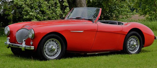 1954 COMING SOON - AUSTIN HEALEY 100/4 BN1 For Sale