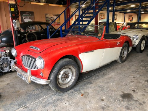 1955 Austin Healey 100/6 - Project SOLD