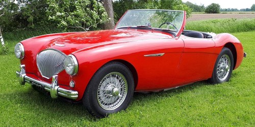 1954 AUSTIN HEALEY 100/4 BN1 - SORRY SOLD For Sale
