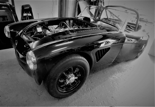 1960 Austin Healey 3000 mk1 works rep/rally/race car In vendita
