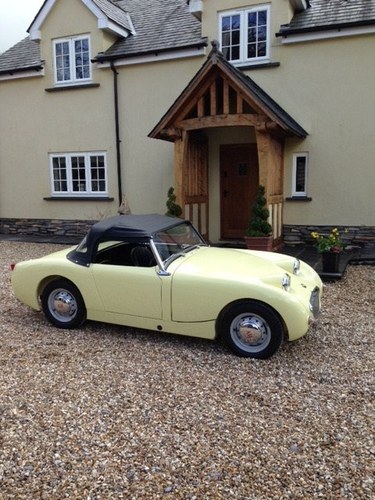 1960 Austin Healey Frogeye  Sprite NOW SOLD For Sale