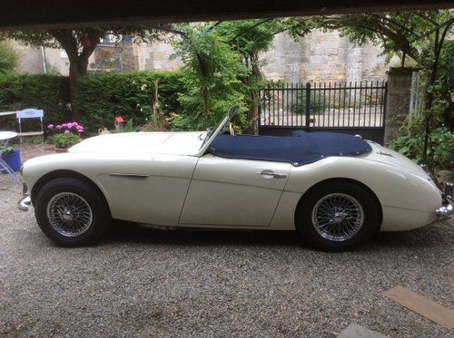 1959 AUSTIN HEALEY 3000 MK1  - RELUCTANT PRIVATE SALE For Sale