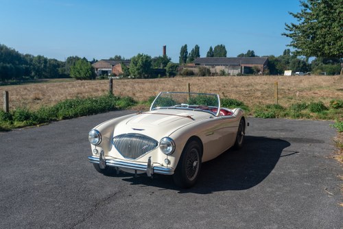 1956 Austin Healey 100/4 BN2 (Mille Miglia eligible) For Sale