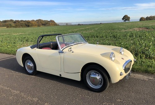 Austin Healey Frogeye Sprite,  1961. Olde English White For Sale