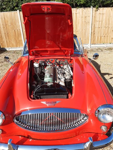 austin healey3000mk2 A  nut and bolt restoration lhd 1963 For Sale