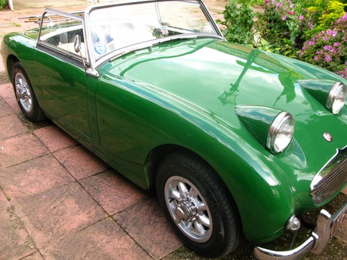 1959 Austin Healey Sprite VENDIDO
