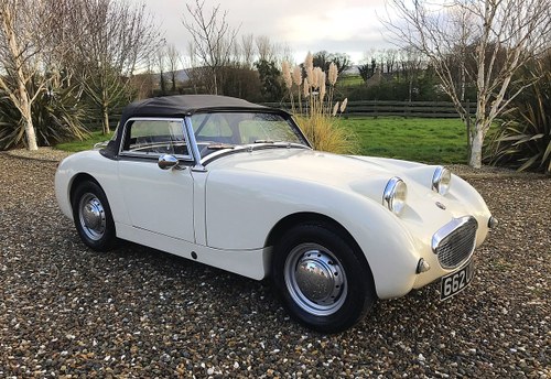 1960 AUSTIN HEALEY FROGEYE SPRITE IN SUPERB ORDER - MAY PX SOLD