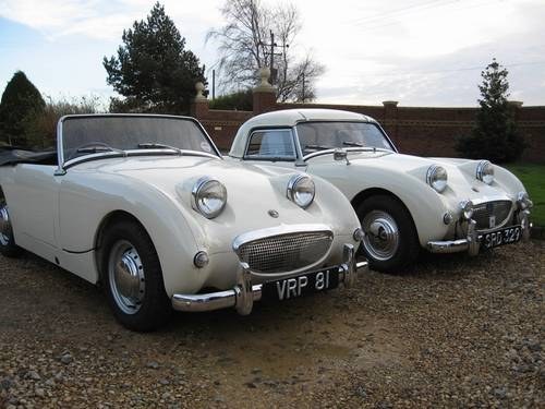 Austin Healey Sprites WANTED WANTED