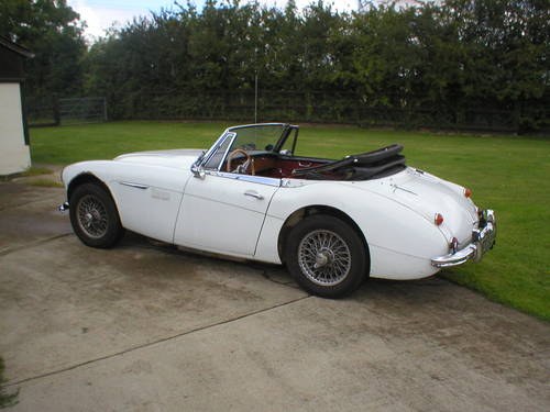 1958 Wanted Austin Healey 3000 or 100/6 any condition