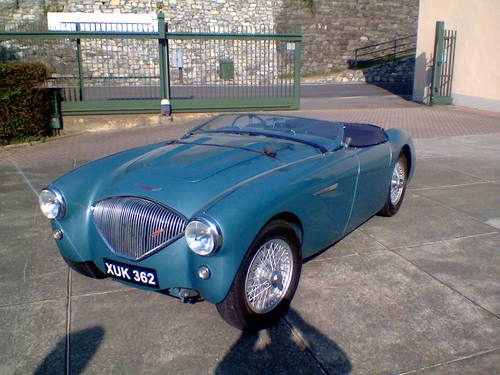 1954 Healey 100 M spec For Sale