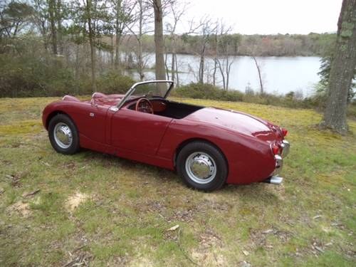 1959 Austin Healey Bugeye Te koop