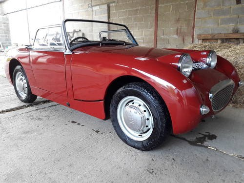 1958 Austin Healey Frogeye Sprite, All steel. NOW SOLD  For Sale