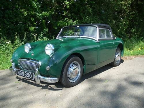 Adorable 1958 Austin Healey Frogeye Sprite ! For Sale