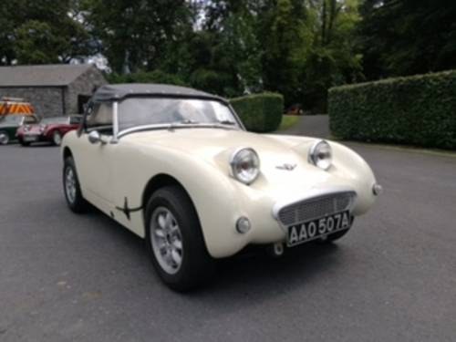 **SEPTEMBER AUCTION** 1961 Austin Healey Frogeye Sprite For Sale by Auction
