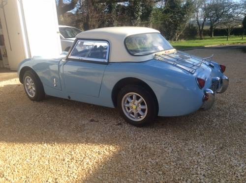 1961  Frogeye Sprite mk I SOLD (Very drivable) SOLD