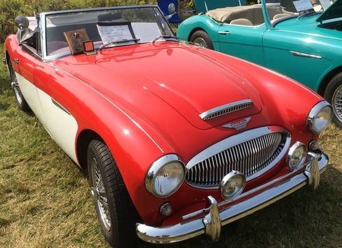 1963 LEFT HAND DRIVE AUSTIN HEALEY 3000 BJ7 MK2a - SENSIBLE PRICE For Sale