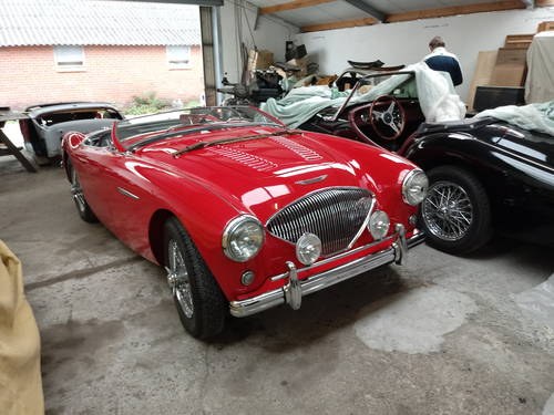 Austin Healey Rouge type 100/4 100M For Sale