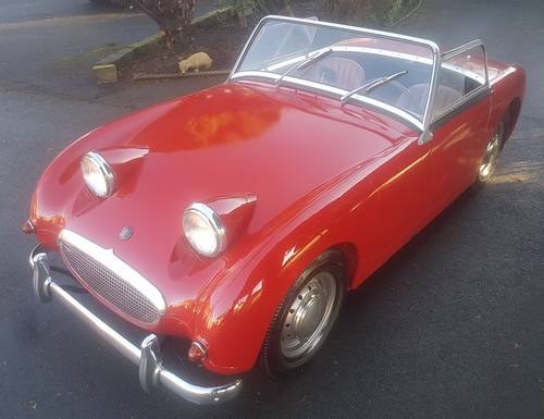 1959 AUSTIN HEALEY FROGEYE SPRITE- SORRY SALE AGREED For Sale