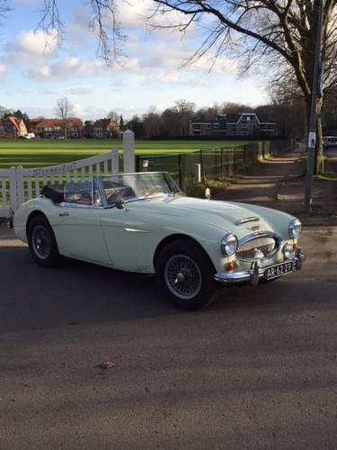 1967 Austin Healey  MK3 BJ 8 for sale LHD For Sale