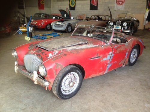 1954 Austin Healey 100/4 BN1 project For Sale