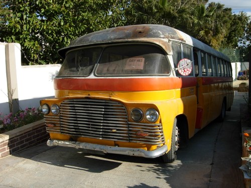 1955 Maltese Bus Bedford In vendita