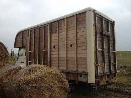 Bedford TL horsebox build by oakley SOLD