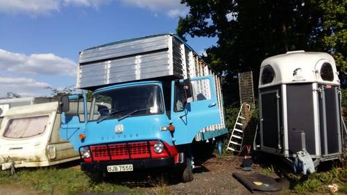 1969 Tk bedford horse lorry / livestock carrier For Sale
