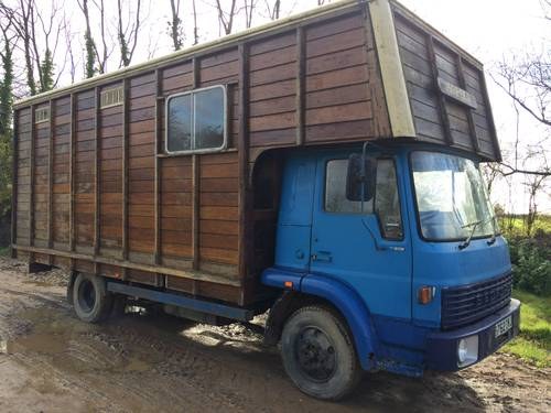 1985 Bedford TL , turbo diesel, horsebox, ,camper. SOLD