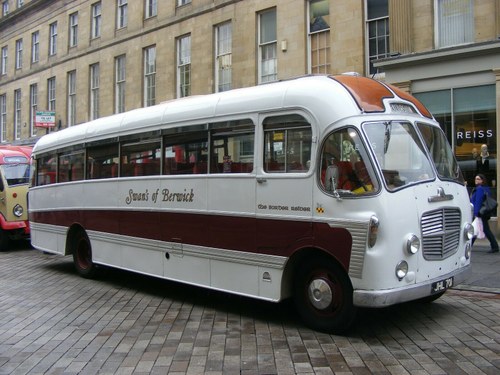 1956 Bedford SBG Plaxton Consort Classic Coach Bus In vendita
