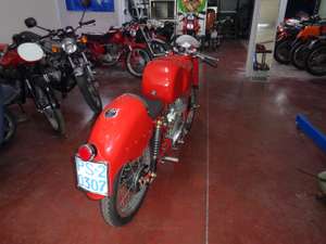 1954 Benelli Leoncino 125 Sport road racing For Sale (picture 4 of 9)