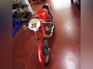 1954 Benelli Leoncino 125 Sport road racing For Sale (picture 5 of 9)