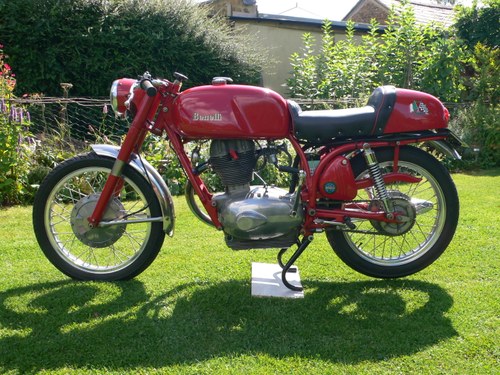 1968 Benelli Special For Sale